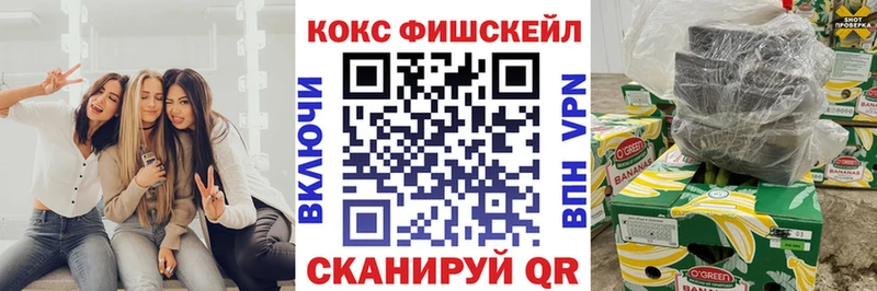 Купить где  Скопин  COCAIN 99% 