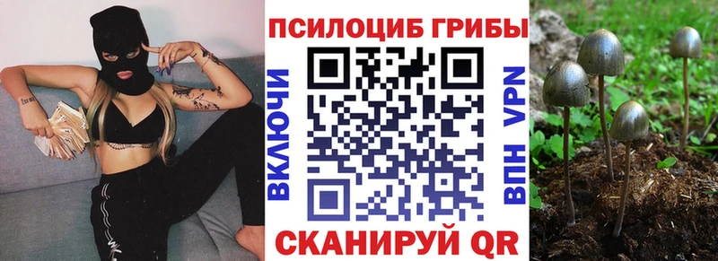 Галлюциногенные грибы GOLDEN TEACHER  Купить  Скопин 